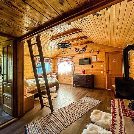 Chalets Du Bf Сигишоара Экстерьер фото