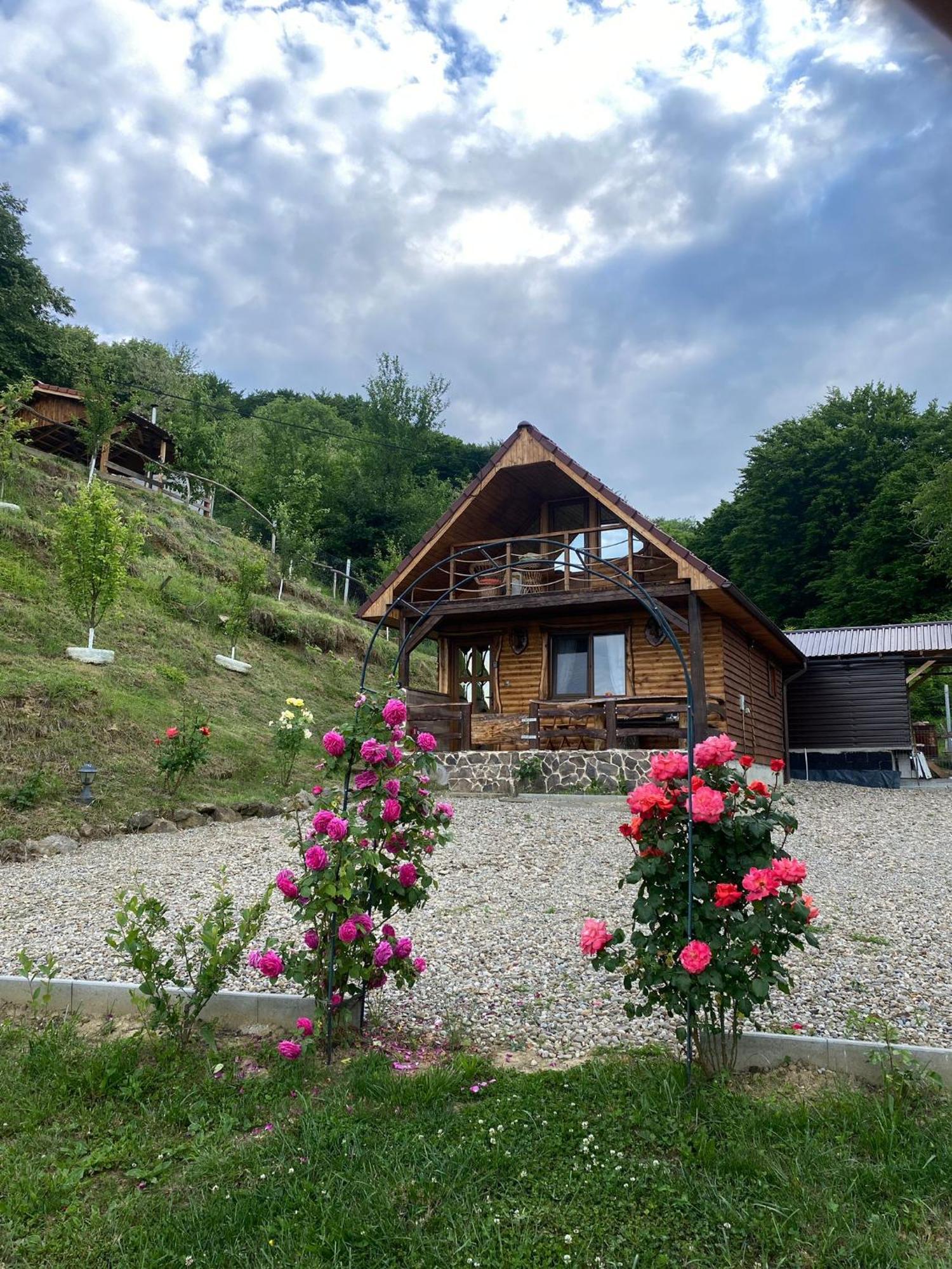 Chalets Du Bf Сигишоара Экстерьер фото