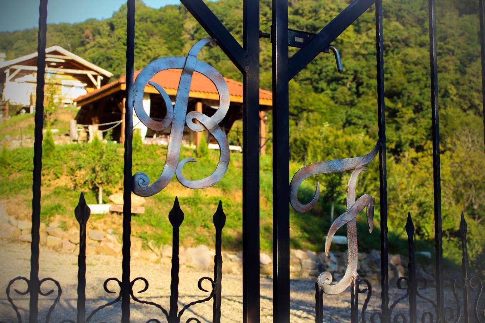 Chalets Du Bf Сигишоара Экстерьер фото